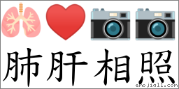 肺肝相照 對應Emoji 🫁 ♥ 📷 📷  的對照PNG圖片